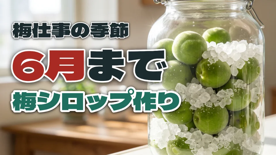 「梅仕事の季節 / 6月まで / 梅シロップ作り」と打ってつくったサムネイル