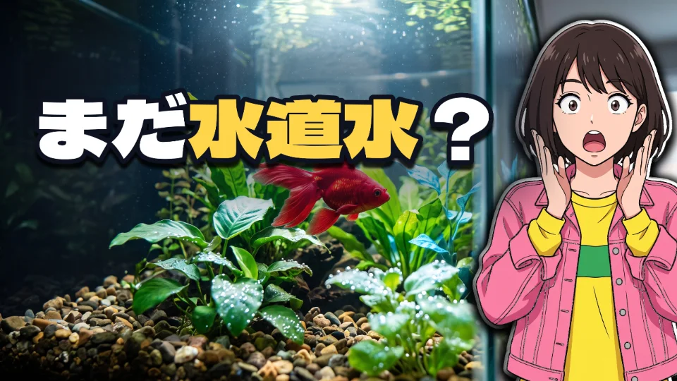 「まだ水道水?」と打ってつくったサムネイル