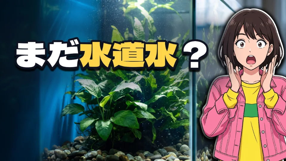 「まだ水道水?」と打ってつくったサムネイル
